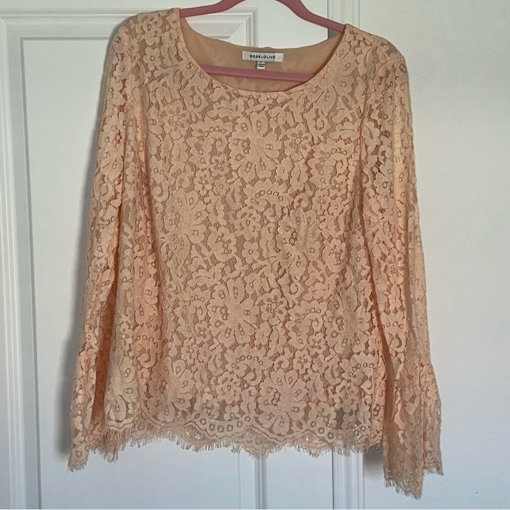 Rose & Olive Large Blush Pink Lace Knit Cotton Blend Flutter Sleeves Preppy Top